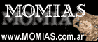 momias y costumbres funerarias